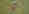KvT_97150C_07-650