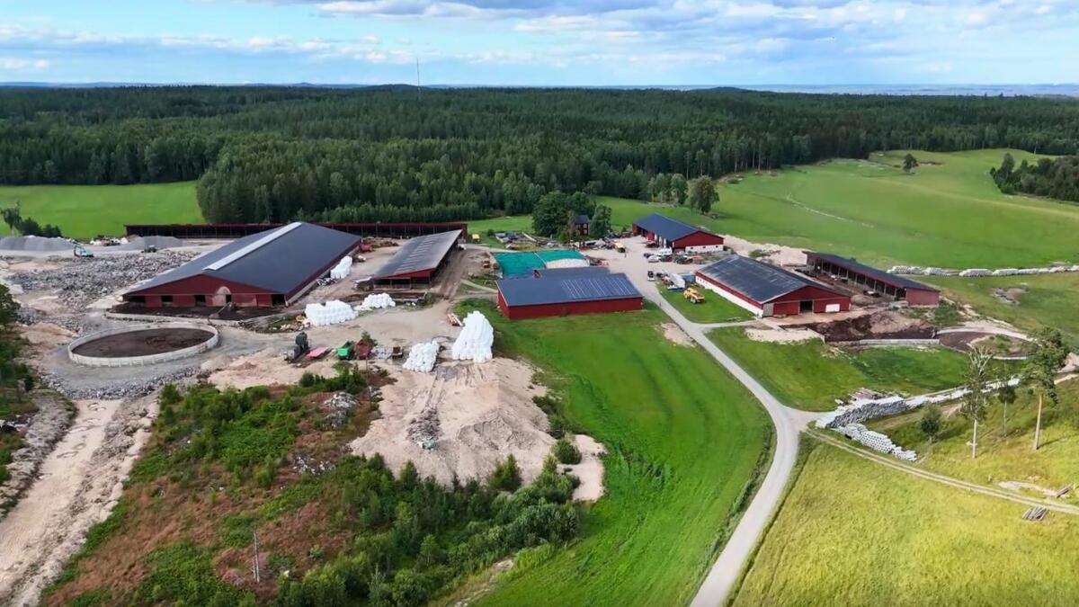 Headland News - Johan - Farm 2